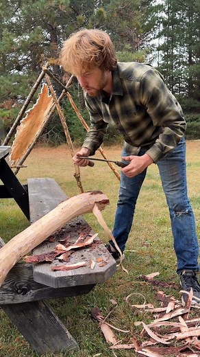 Peeling a huge spruce root to use the bark for tanning. Spruce is a great source of concentrated tannins. One of the strongest in Idaho | Seth Larsen