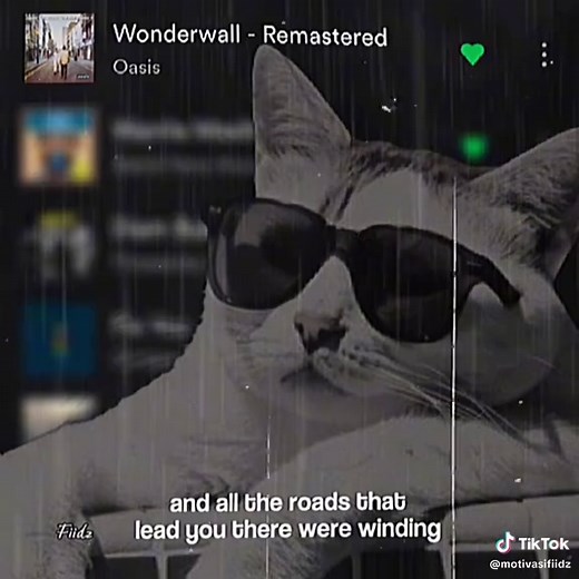 Oasis Wonderwall Lyrics Video