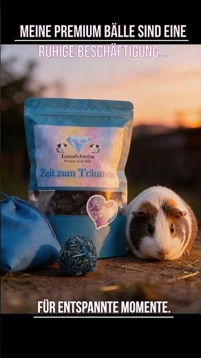Warum Struktur im Futter wichtig ist 🐹 | Meerschweinchen Tipps
