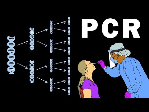 PCR - POLYMERASE CHAIN REACTION