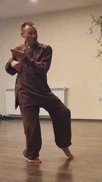 Wu Qin Xi (Five Animal Games) Tutorial Video