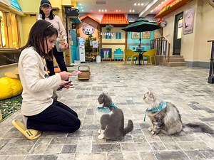 Peach Gray Cafe In Seoul | Painting And Pancakes » Travel-Stained