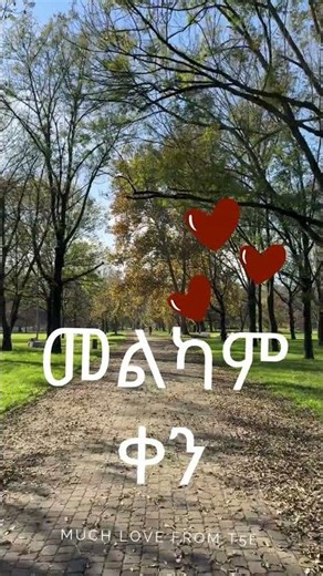 You Won’t Believe This Hidden Park in Addis Ababa!