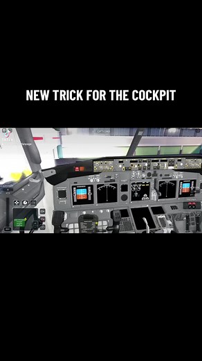 New trick for cockpit! #cockpit #new #trick #aviation #projectflight #projectflightfanpage #yourpage #you #airbus #fyp #punta #cana