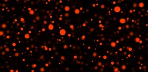 Modeling the Separation of Liquids in Cells | Cell And Molecular Biology