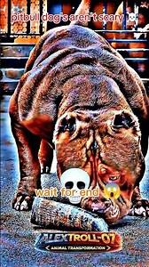 Dog Transformation 😱 From Sick to Happy Puppy ❤️ #shorts