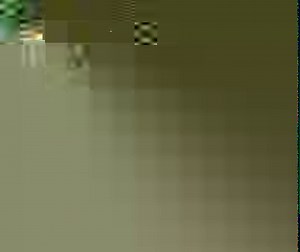 47 reactions · 20 shares | Family Radio is here to help you prepare for a joyous Christmas season—and that includes the Family Radio Christmas music! Your favorite carols and hymns, beginning this weekend, on Family Radio. Download the free app at https://www.familyradio.org/download-our-app/ | Family Radio | Facebook