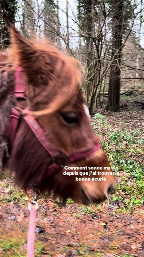 Mia_chevaux (@mia_et_chevaux)’s videos with son original - Mélodie