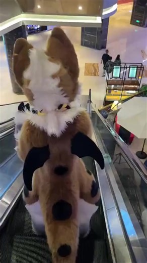 furry ❤️❤️❤️❤️ #cute #fursuit #furrytiktok #furry #fyp