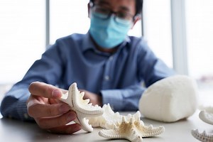 A star in the world of ceramic engineering