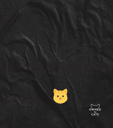 Because sometimes you just need to explain your whole day to someone who won’t interrupt — and your cat’s judging face is part of the therapy. And let’s be honest… they do reply — just not in English.” | Owned By Cats