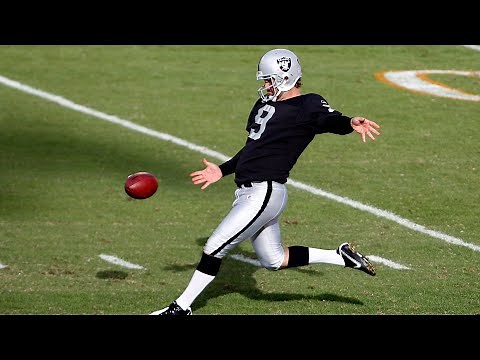 Every Shane Lechler Punt Over 70 Yards | Shane Lechler Highlights