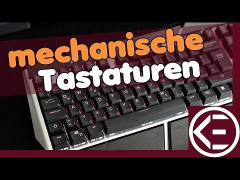 PERFEKTE GAMING TASTATUR?! | So findest du sie! | Alles über mechanische Tastaturen