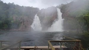 Aaand that's why Wangi Falls is closed in the wet 👀‼️ Rangers out at Litchfield National Park have their work cut out for them to get the popular waterhole back up and running for the busy dry season. We even heard from one of the rangers yesterday about a little freshie that had found itself lost in the picnic area 😂🐊 Stay up to date with park access: https://ab.co/2T3QBKD 📹 via Northern Territory Parks and Wildlife | ABC Darwin