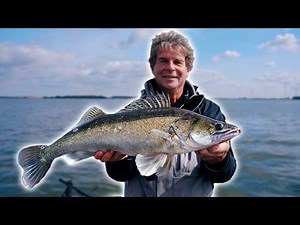 Zander in autumn: Does the bait size matter?