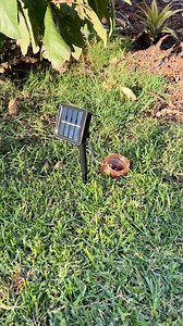 1.5M views · 18K reactions |  Tu casa también merece brillar por fuera. Con nuestra serie LED con panel solar podrás decorar sin preocuparte por enchufes. ✨ Disfruta la navidad y ahorra más con 20% OFF  https://bit.ly/4ottw0f  ¿Qué rincón iluminarías tú? Promoción válida en productos seleccionados del 04 de noviembre al 01 de diciembre 2025 | Steren México | Facebook