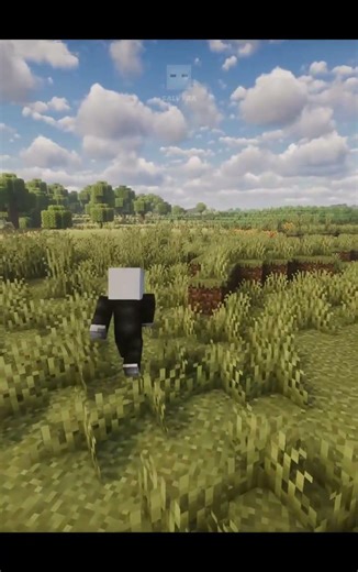 Walking in the Grassfield #minecraft #minecraftrealistic #cinematicminecraft