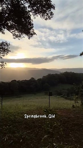 Discover Springbrook's Sunset Spots