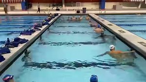 Caeleb Dressel is a flip turn pro 😤 How many could you do before getting dizzy? 🤣 | MySwimPro