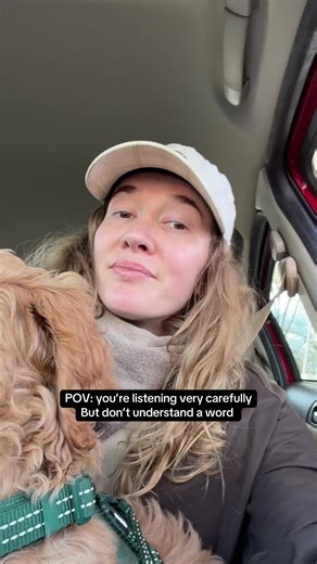 All day every day 😪 #goldendoodle #labradoodle #puppytalk #puppysoftiktok #doodle