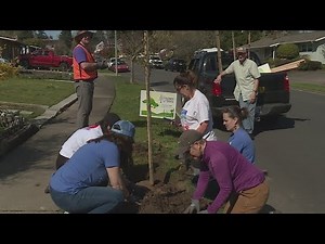 Donate Life hosts Portland tree-planting event