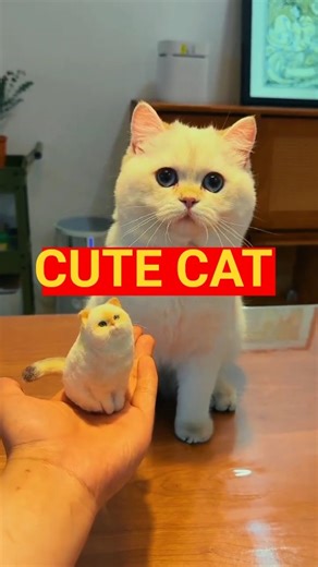 He Made a Mini Cat from Real Cat Fur! 😻✨