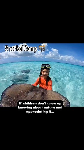 1.2K views · 53 reactions |  Mid Term Break Snorkel Camp!!! (Oct...