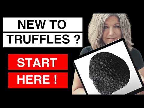 How to Hunt Black Summer Truffles