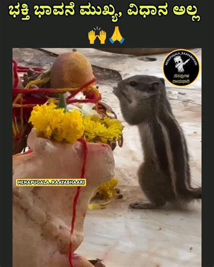 ನೆನಪುಗಳ ರಾಯಭಾರಿ on Instagram: "🙏🙏🙏 Follow:@nenapugala_raayabhaari #kannada #Karnataka #kannadamaate #naadu #nudi hesru_hakalla_en_iga SM_INTROSPECTION iam_sundra😉 Copyright ©️ Under section 13 of the Copyright Act 1957, copyright protection is conferred on literary works, dramatic works, musical works, artistic works, cinematograph films and sound recording. For example, books, computer programs are protected under the Act as literary works. Kindly Please DM for credit and removal🙌🏻."