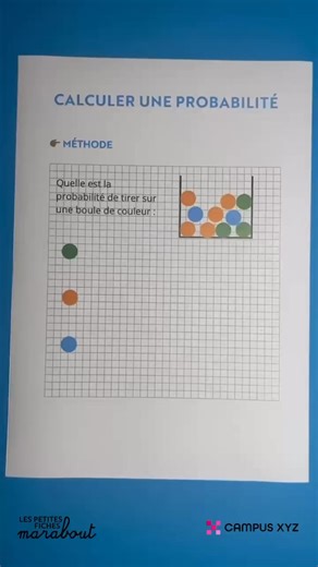 48K views · 519 reactions |  Calculer une probabilité...