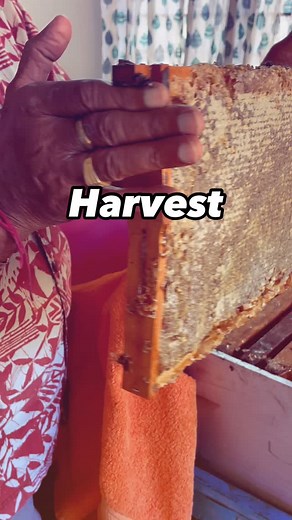 169 reactions | When we extract the honey the leftover beeswax can...