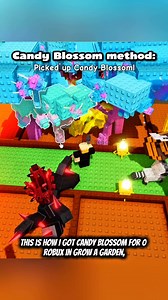 70K views · 880 reactions | How to get candy blossom now . Candy blossom code 2025. #candyblossom #robloxfyp #seed #fyp #growagarden #goviral #roblox | Grow a garden | Facebook