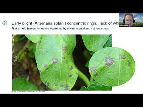 Webinar #18 - Phytophthora Infestans: Late Blight - Albert Schirring