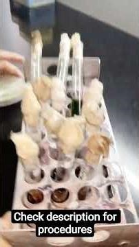 IMViC test #biotechnology #science #microbiology