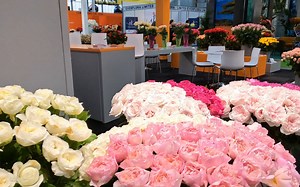 Come visit us at IFTF 2022 (International Floriculture Trade Fair)