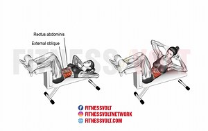 Twisting Crunch: Target Your Abs, Obliques & Hip Flexors! – Fitness Volt