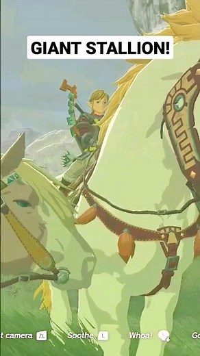 Find the Giant White Stallion in Zelda TOTK