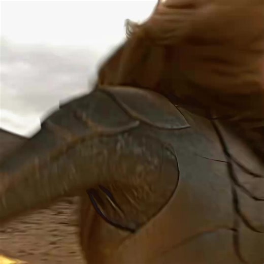 Exploring the Eternals: Marvel's Iconic Characters