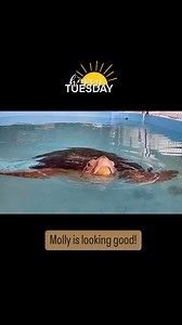 Happy turtle Tuesday! Molly is looking good and is grateful for all the love and healing energies! Have a turtley awesome day ☀️🐢🥰! Photo credit Carly Perkins #connectandprotect #rescuerehabrelease #seaturtlerescue #loggerheadseaturtle #loggerhead #turtle #turtlehospital #marathonturtlehospital #sea #seaturtle #science #nature #ocean #seaturtlehospital #seaturtlerehab #wildlife #floridakeys #STEM #education #animals #barnacles #barnacleremoval #barnaclesgonewild #seaturtlebarnacles #satisfying
