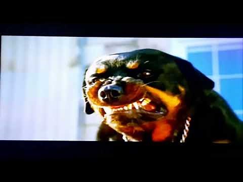 Garfield 2 (2006) - Trailer Legendado (Em 4K)