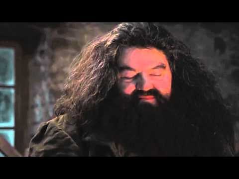 Yer a blizzard harry!