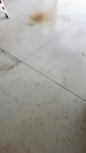 1.4K views · 133 reactions | MyQ Garage Video Keypad #myq #garagevideokeypad #myq2025 #garageopener #garagekeypad #coolgadgets #blackfriday | akmalist | Facebook