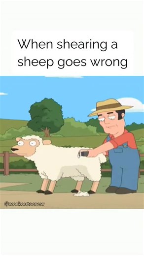 Workouts Crew on Instagram: "Anyone else remember Seth MacFarlane's Cavalcade of Cartoon Comedy? The "sheep shearing" scene you are referring to is an dialog-heavy sketch from Seth MacFarlane's Cavalcade of Cartoon Comedy. It is from a separate, more risqué web series. The animated sketch is a conversation between two men, one of whom is using an electric shearer on the other man, who is role-playing as a sheep. The "sheep" character progressively gets more describing excitement from the process