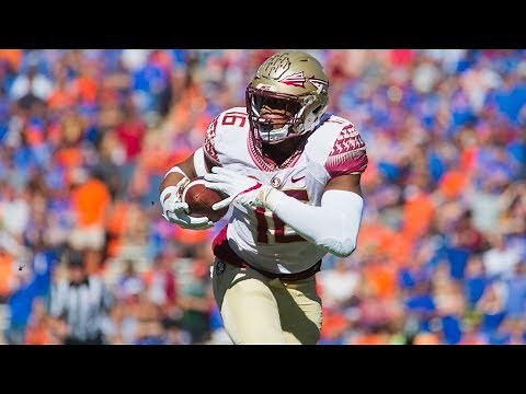 FSU vs. UF Highlights