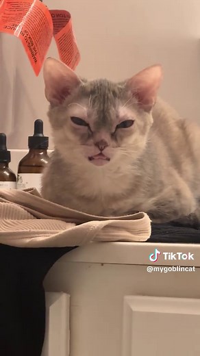 Mastering Olympic Tongue Curling Techniques