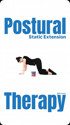 Dr. Kevin Reese on Instagram: "Struggling with posture or back pain? Try the Static Extension exercise to realign and strengthen your body! 💪✨ #PosturalTherapy #StaticExtension #DrReese"