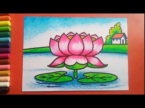 Easy Lotus in a pond drawing