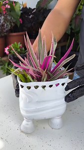 421K views · 9.7K reactions | vaso decorativo com garrafa pet | Clebisson Santos | Facebook