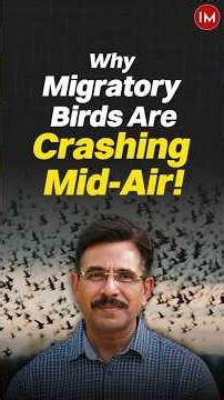 1.5 Lakh Birds Dying Every Year… Because of Power Lines!”