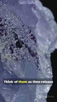 The Secret of Roman Concrete: Why It Survived 2000 Years! #viral